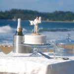 Getting Married in Hawaii