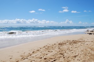 Lydgate Beach