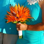 Bird of Paradise Bouquet