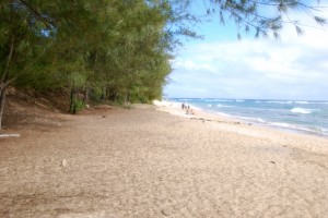 beach-wedding-spots-on-kauai-mahaulepu