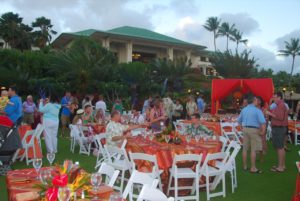 kauai corporate photography