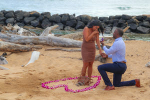 kauai proposal